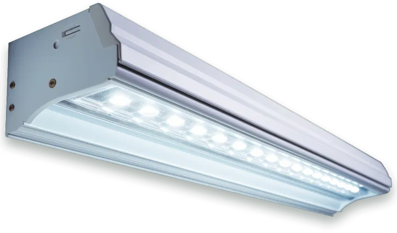 lampade fluorescenti